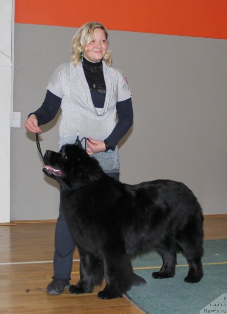 Фотография № 116689