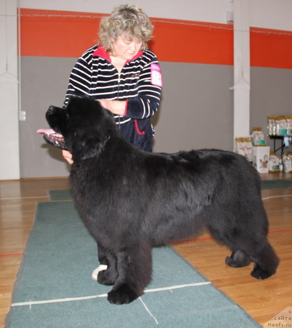 Фотография № 116692