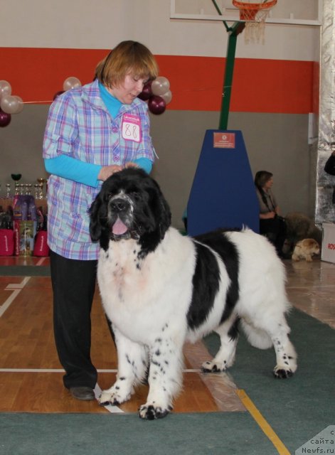 Фотография № 116697