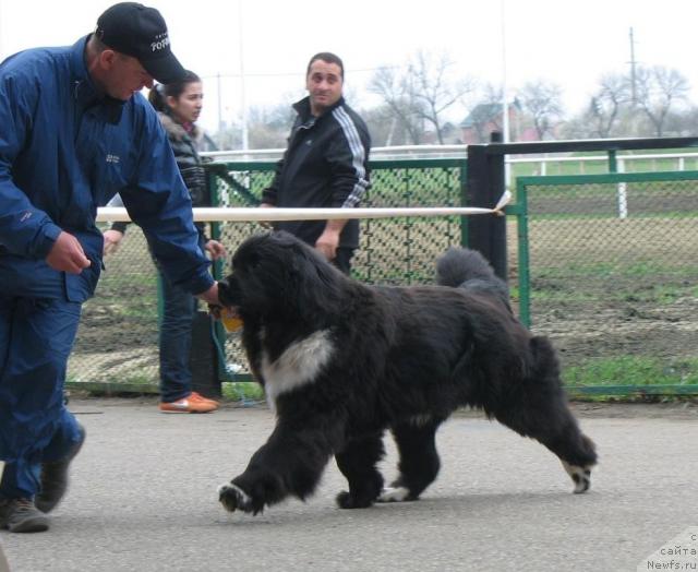 Фотография № 11670