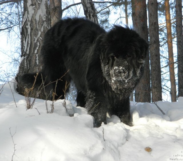 Фотография № 116711