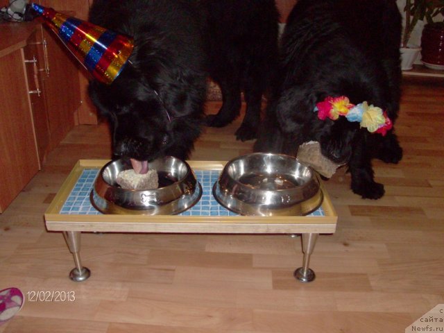 Фотография № 116731