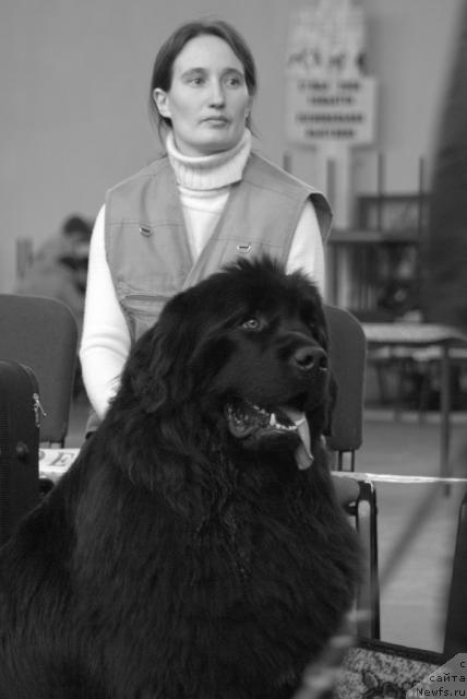 Фото: Nadejda Momot (Надежда Момот), ньюфаундленд Ygan s Toyanova Gorodka (Юган с Тоянова Городка)