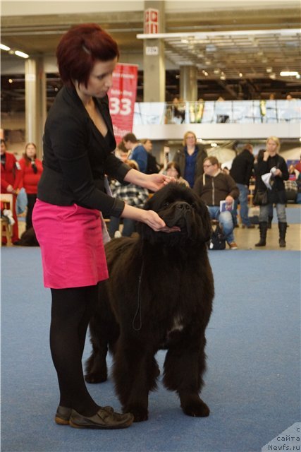 Фото: Private Cast Most Of All