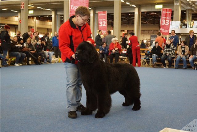 Фото: Wave Seeker's One Moment In Time