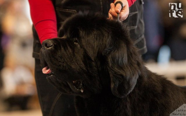 Фотография № 116816