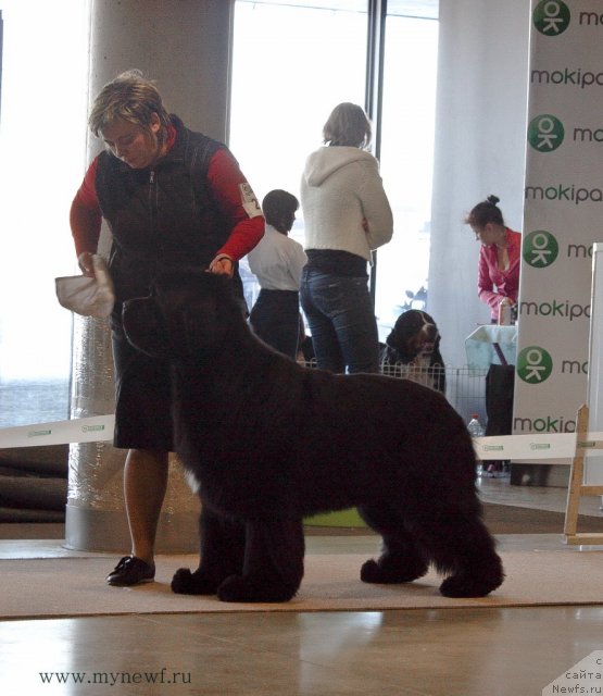 Фотография № 116817