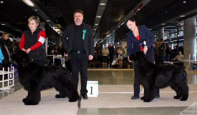 Фотография № 116819