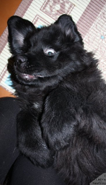 Фото: Кара Аюлар Wind of Changes