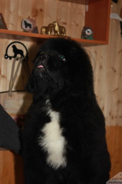 Фотография № 116827