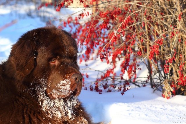 Фотография № 116844