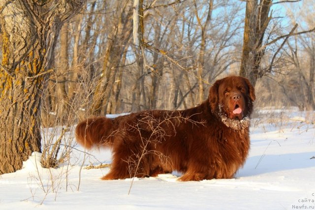 Фотография № 116845