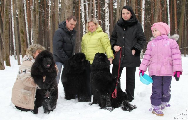 Фото: ньюфаундленд N'yufort CHernika Ledi (Ньюфорт Черника Леди), ньюфаундленд S'Nezhnaya Vjuga Armando Parusso (С'Нежная Вьюга Армандо Паруссо), ньюфаундленд N'yufort Taym's Gold Aleksa (Ньюфорт Тайм'с Голд Алекса)