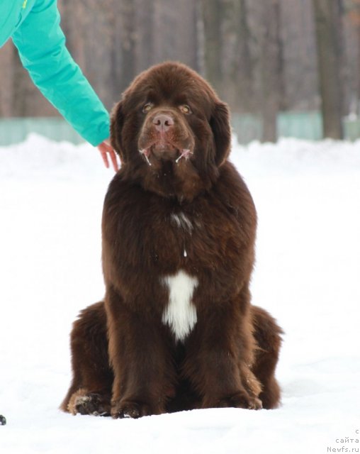 Фотография № 116891