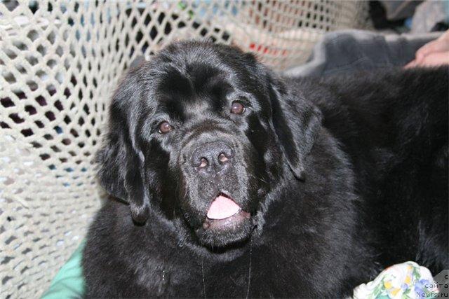 Фотография № 11690