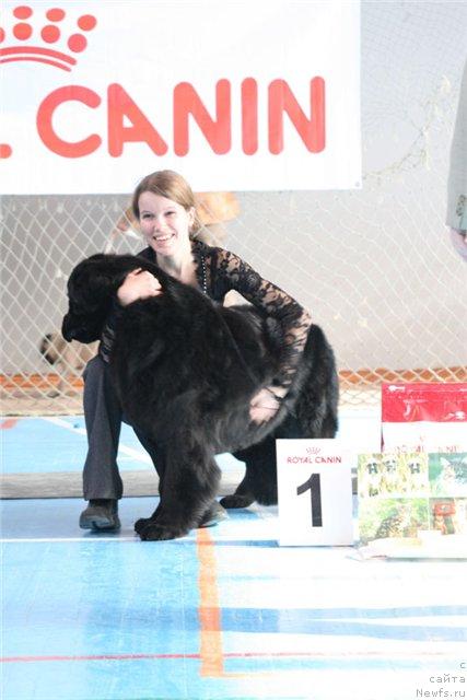 Фотография № 11691