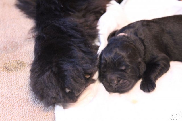 Фотография № 116937