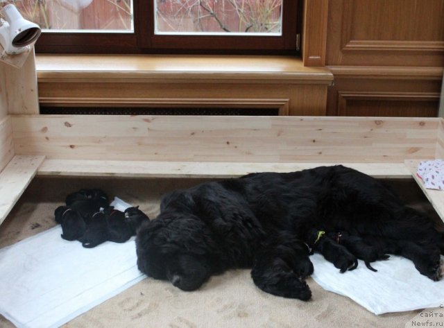 Фотография № 116938