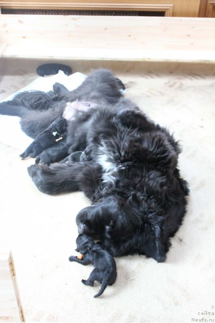 Фотография № 116939