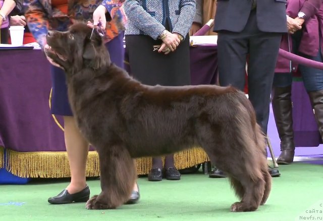 Фотография № 116944