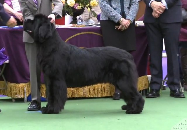 Фотография № 116945