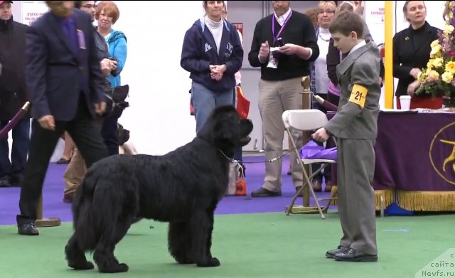 Фотография № 116946