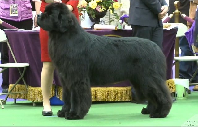 Фотография № 116948