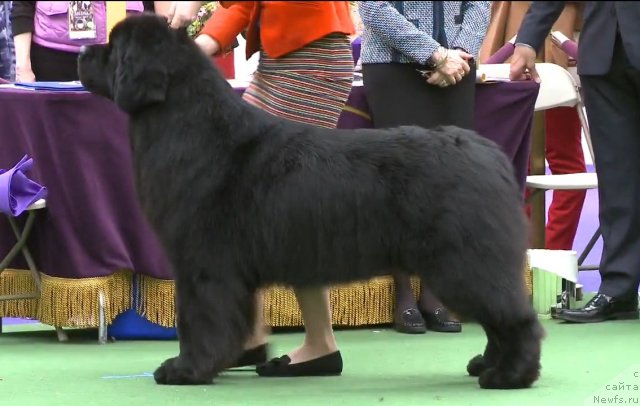 Фотография № 116950