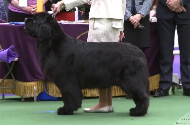 Фотография № 116952