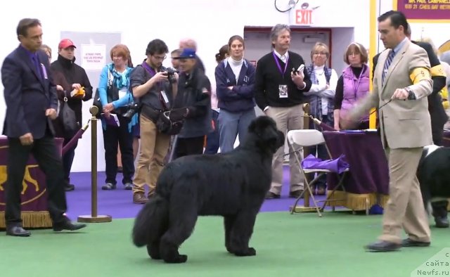 Фотография № 116954