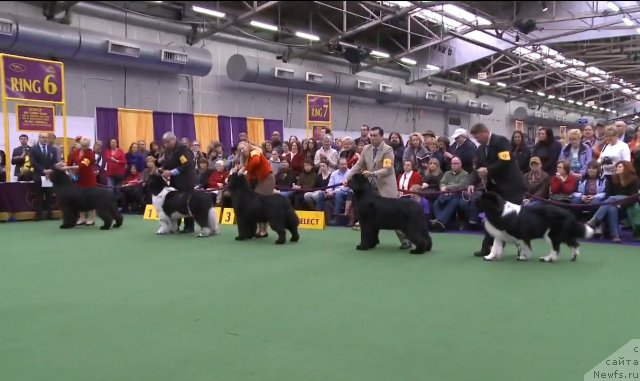 Фотография № 116955