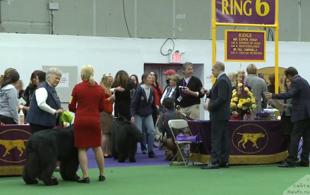 Фотография № 116957