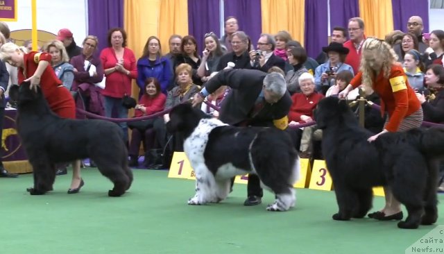 Фотография № 116959