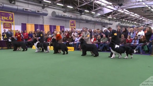 Фотография № 116961