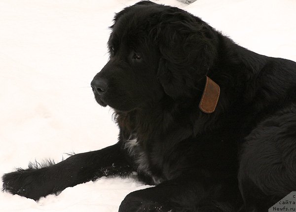 Фотография № 116980