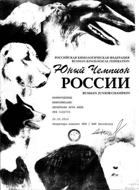 Фотография № 116989