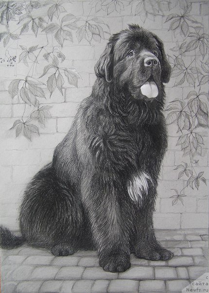 Фотография № 116990