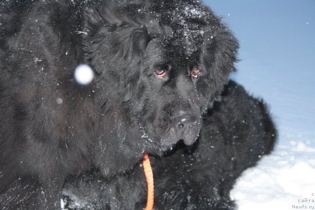 Фотография № 116996