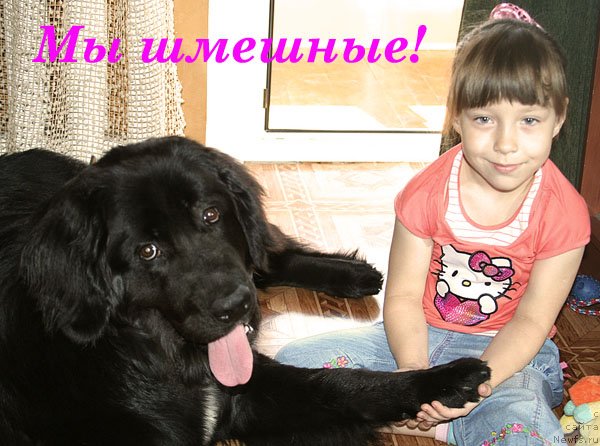 Фотография № 116999