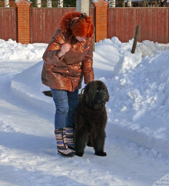 Фотография № 117076