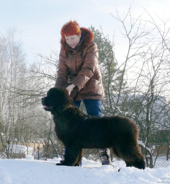 Фотография № 117077