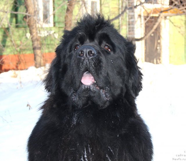 Фотография № 117101