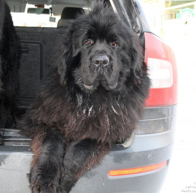 Фотография № 117102