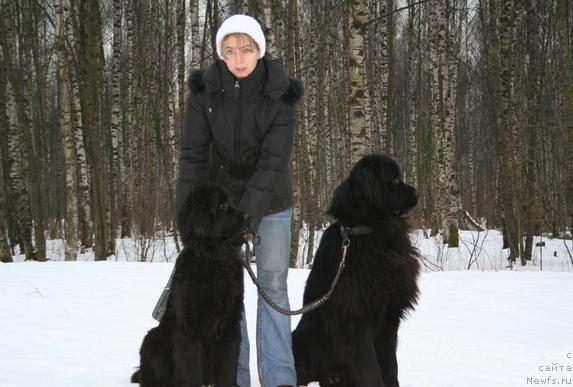 Фото: YUliya Naumova (Юлия Наумова), ньюфаундленд Drive Me Crazy of Apachee's Home, ньюфаундленд Usatyiy Nyan' Timosha (Усатый Нянь Тимоша)