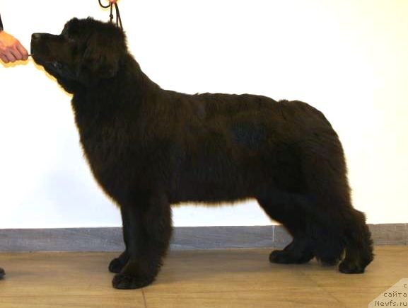 Фотография № 117124