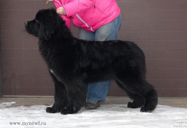 Фотография № 117146