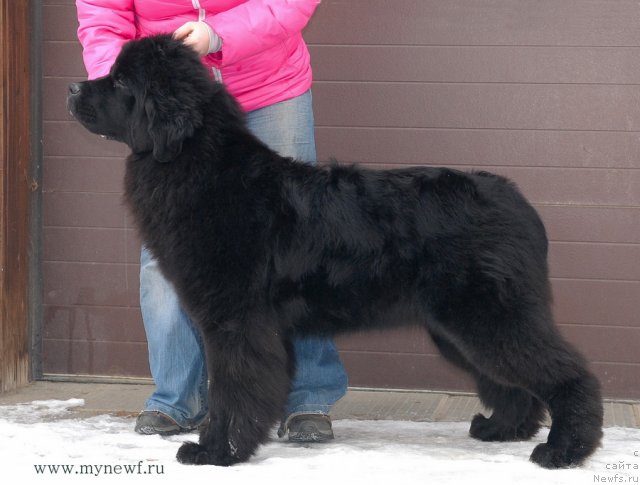 Фотография № 117147