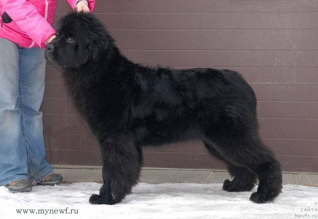 Фотография № 117148