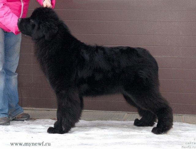 Фотография № 117149