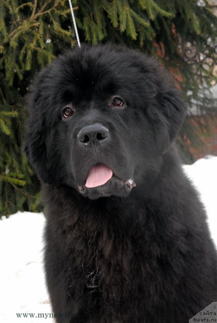 Фотография № 117154